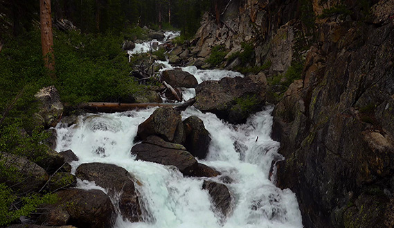 Fotogramma da Perpetual becoming